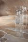 Preview: Mirage Onyce Champagne ON03 Lucida Boden- und Wandfliese 120x120 cm